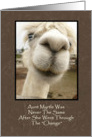 Llama Birthday card