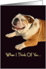 Smiling Bulldog card