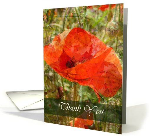 Red Poppy Thank You card (543187)