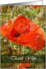 Red Poppy Thank You card