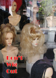Wigs In A Window