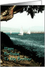 Sailboats Brother Birthday card