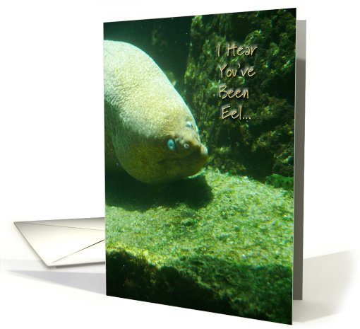 Eel Get Well card (562788)