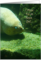 Eel Get Well card
