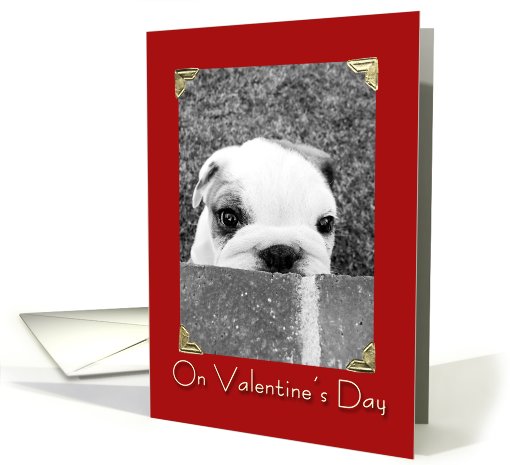 Peeking Puppy Valentine card (571327)
