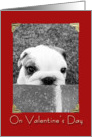 Peeking Puppy Valentine card