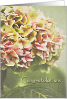 Hydrangea Congratulations Wedding card