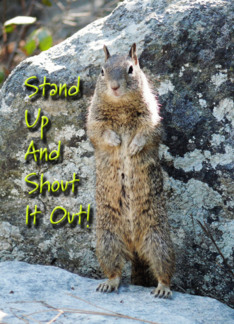 Stand Up Squirrel