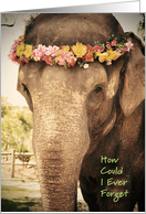 Elephant Birthday card