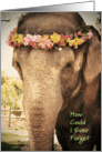 Elephant Birthday card