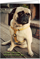 Pug Miss You card