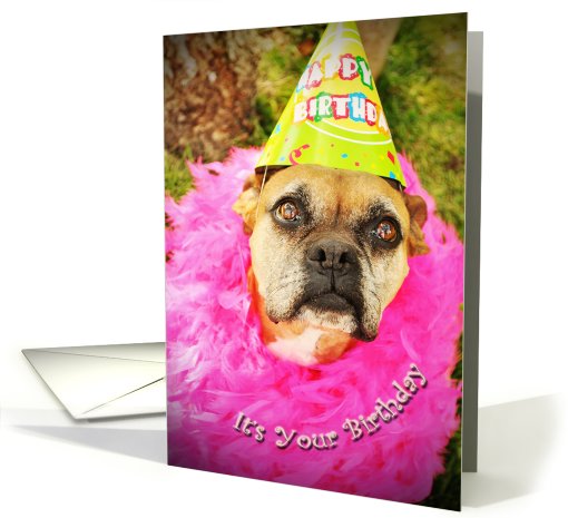 Never Too Old To Party, dog in party hat card (620893)