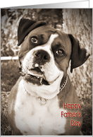 Big Dog Boxer Father’s Day card