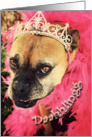 Divine Boxer Birthday card