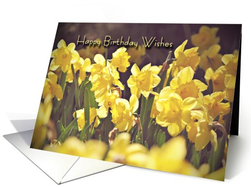 Daffodil Birthday Wishes card (631105)