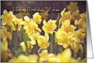 Daffodil Birthday Wishes card