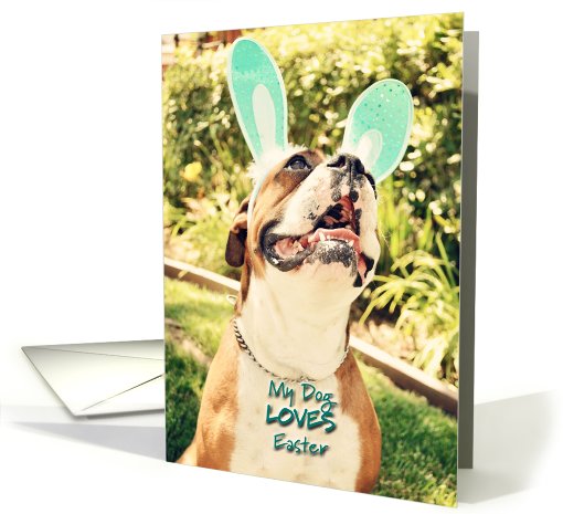 Easter, Boxer with  Bunny Ears card (638140)