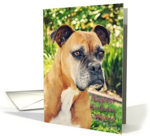 Boxer Beotch Birthday card (640685)