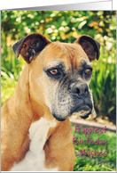 Boxer Beotch Birthday card