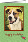 Boxer, Happy Holidays card