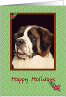 Saint Bernard Happy...