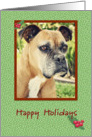 Boxer Happy Holidays card