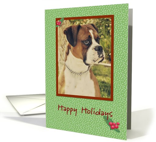 Boxer Happy Holidays card (657251)