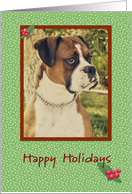 Boxer Happy Holidays card