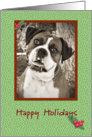 Boxer Happy Holidays card