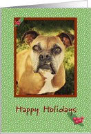 Boxer Happy Holidays card