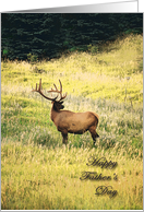Elk Father’s Day card