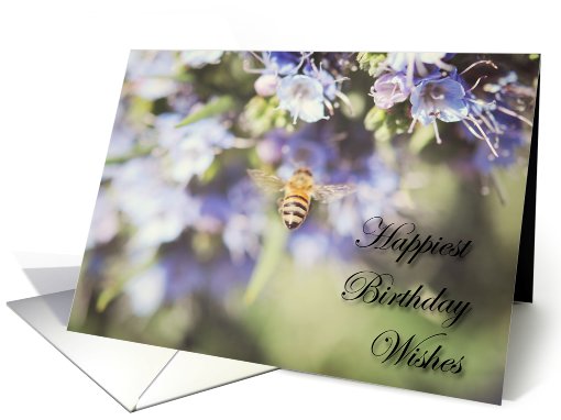 Bee And Purple Flowers Birthday card (802898)