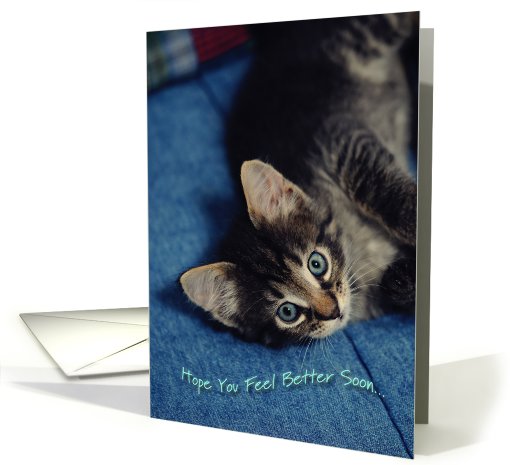 Kitten Get Well Soon card (814397)