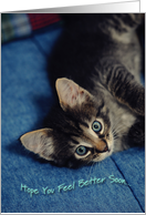 Kitten Get Well Soon card