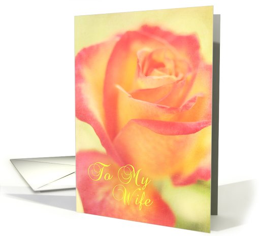 Beautiful Rose Wife Anniversary card (815598)