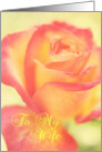 Beautiful Rose Wife Anniversary card