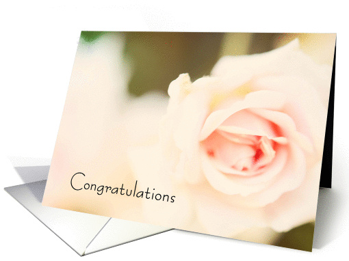 Pink Rose Engagement Congratulations card (859314)