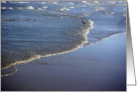 Herons - Being One With The Gulf - At Peace card