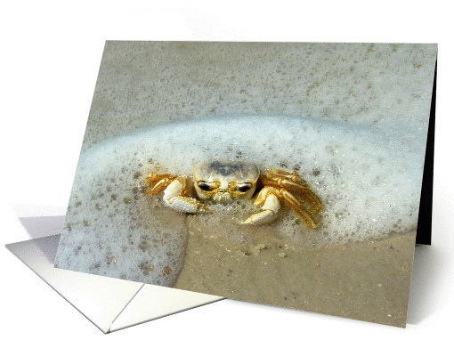 Crabs of the Gulf - All In A Lather card (1373748)