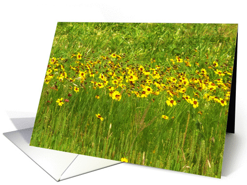 Wild Daisies Dance in a Sea of Green Thinking of You card (1373796)