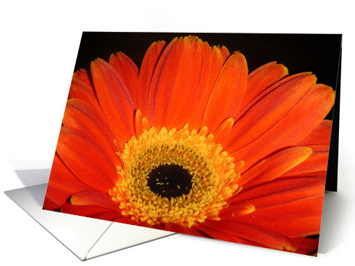 Daisy Glowing In The Dark card (296092)