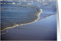 Herons - Being One With The Gulf - At Peace card