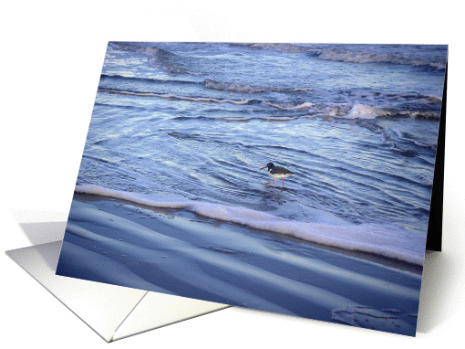 Shorebirds - Being One With The Gulf - Waving Good Bye card (296154)