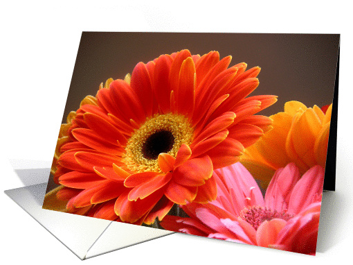 Daisies - Luminous card (411906)
