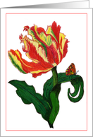 Parrot Tulip & Butterfly card