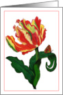 Parrot Tulip & Butterfly card