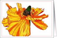 O&Y Flower card