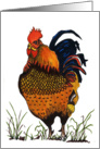 Rooster 1A card