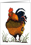 Rooster 1A card