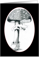 Mushroom 1A card